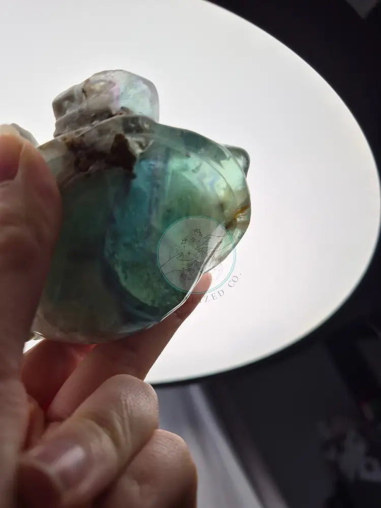 FEATHER FLUORITE TURTLE
