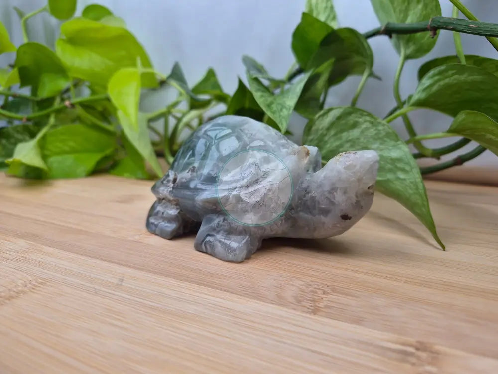 FEATHER FLUORITE TURTLE