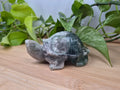 FEATHER FLUORITE TURTLE