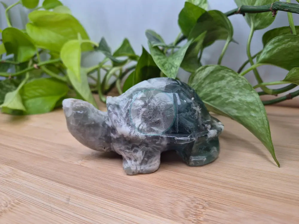 FEATHER FLUORITE TURTLE