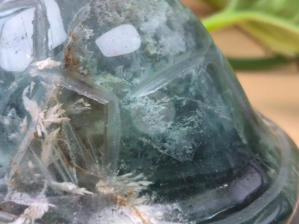 FEATHER FLUORITE TURTLE