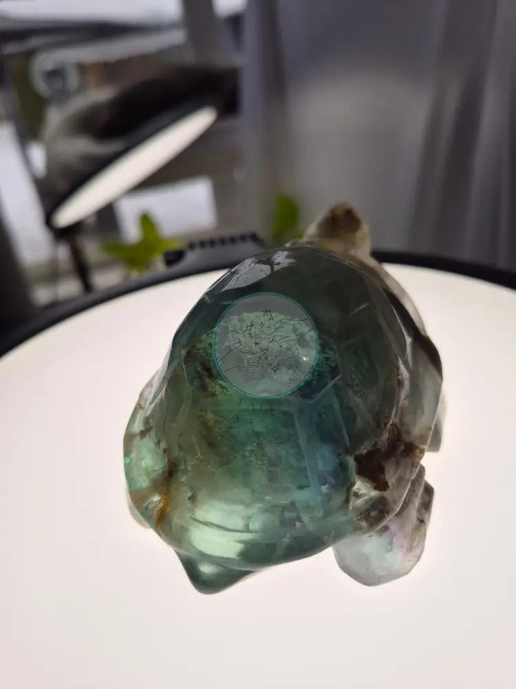 FEATHER FLUORITE TURTLE