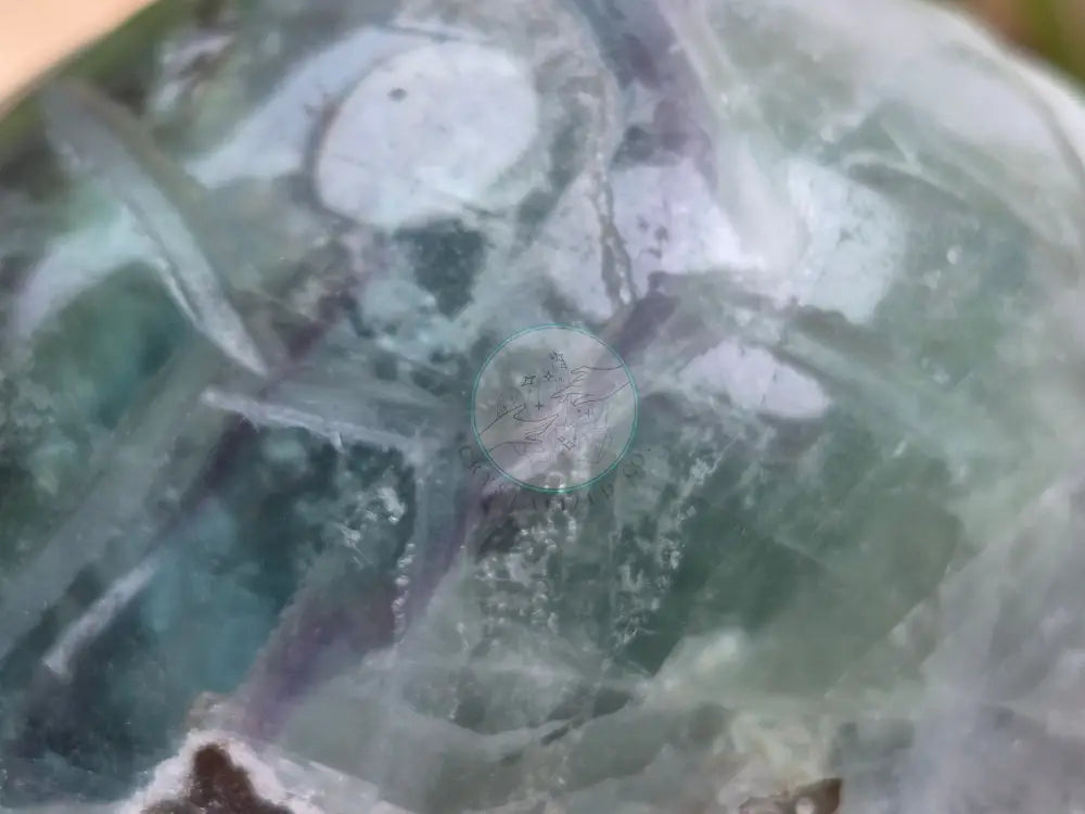 FEATHER FLUORITE TURTLE