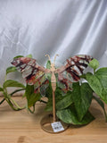 FIRE QUARTZ BUTTERFLY WINGS