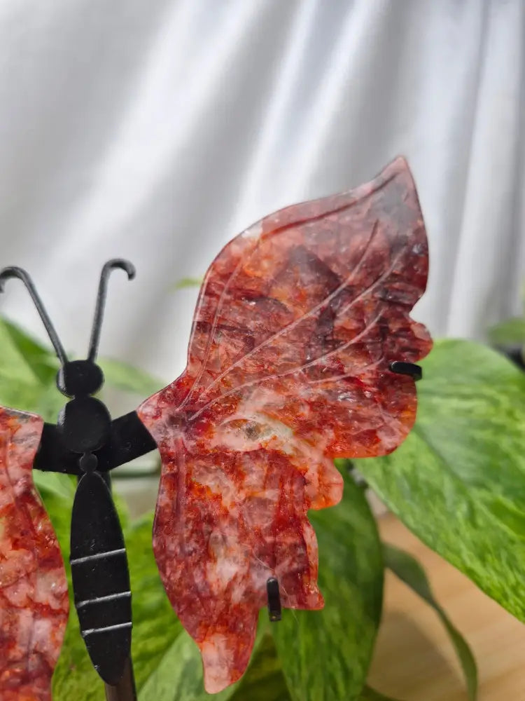 FIRE QUARTZ BUTTERFLY WINGS