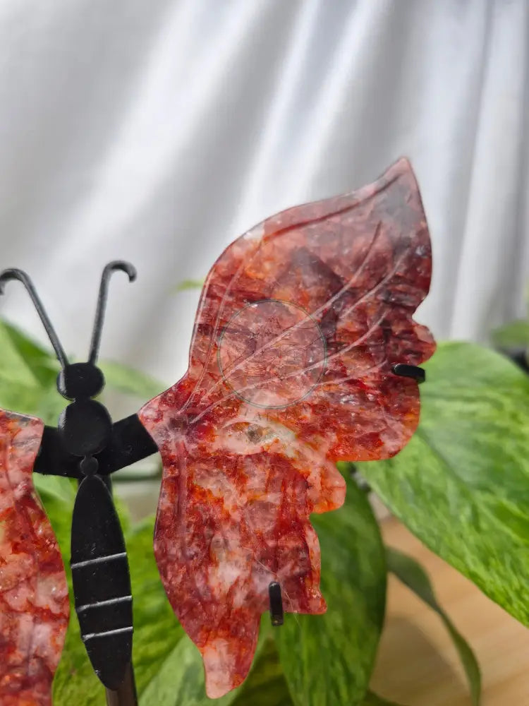 FIRE QUARTZ BUTTERFLY WINGS