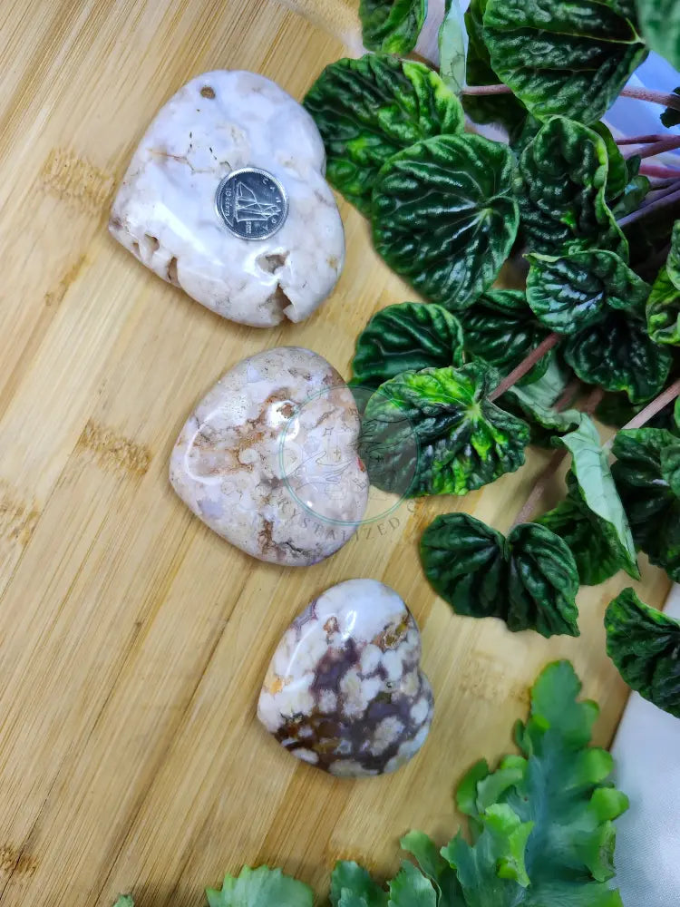 FLOWER AGATE HEART