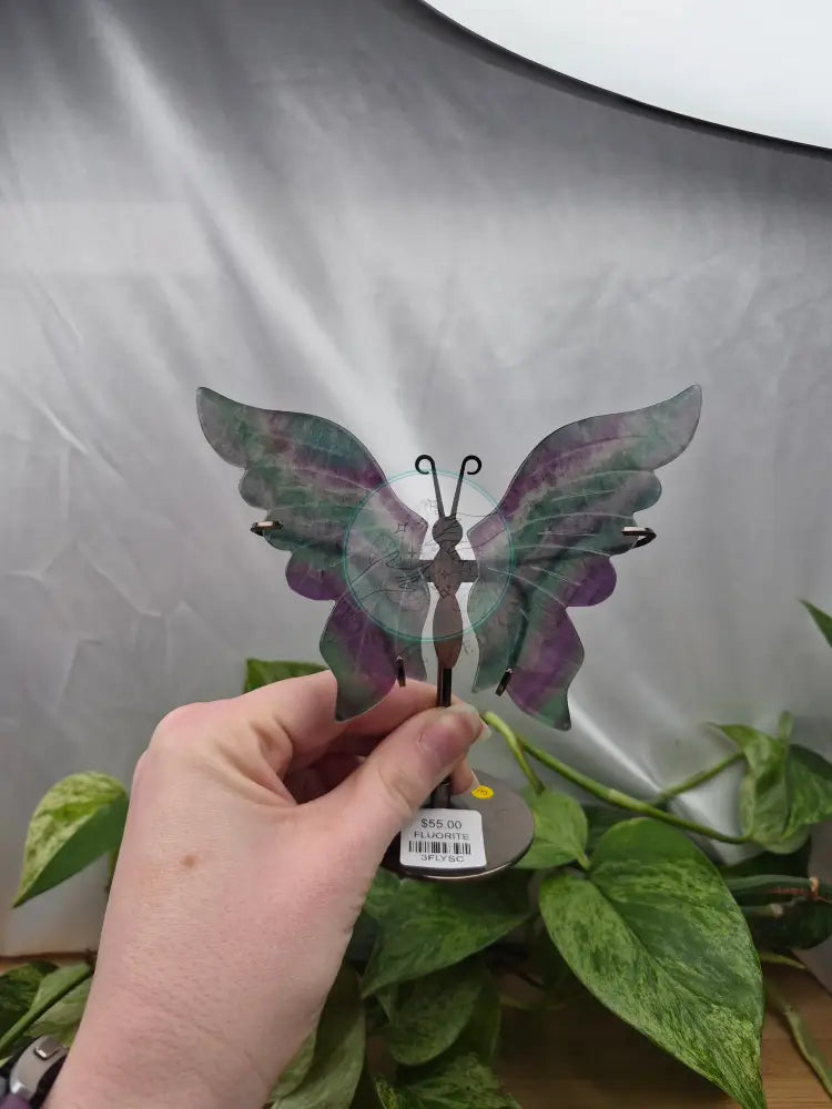 FLUORITE BUTTERFLY WINGS
