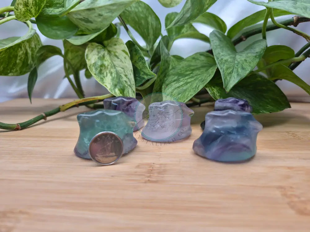 FLUORITE DITTO