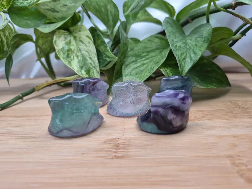 FLUORITE DITTO