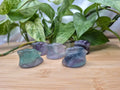 FLUORITE DITTO