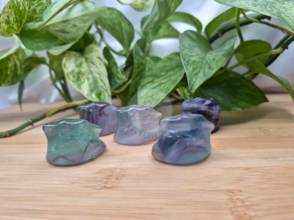 FLUORITE DITTO