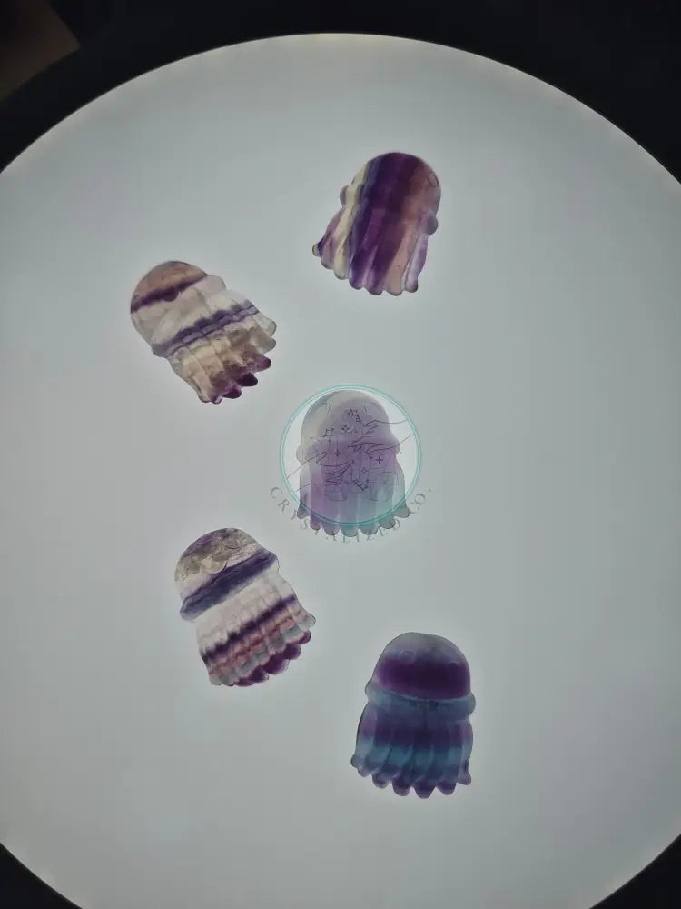 FLUORITE JELLYFISH