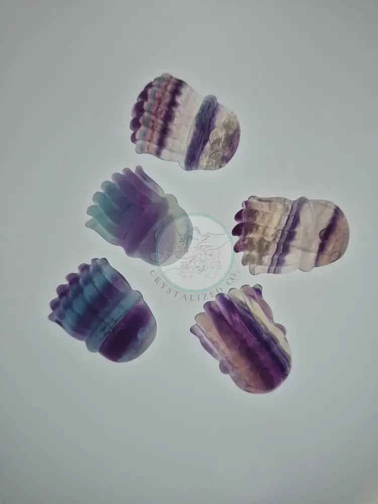 FLUORITE JELLYFISH