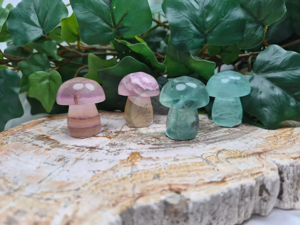 FLUORITE MUSHROOM