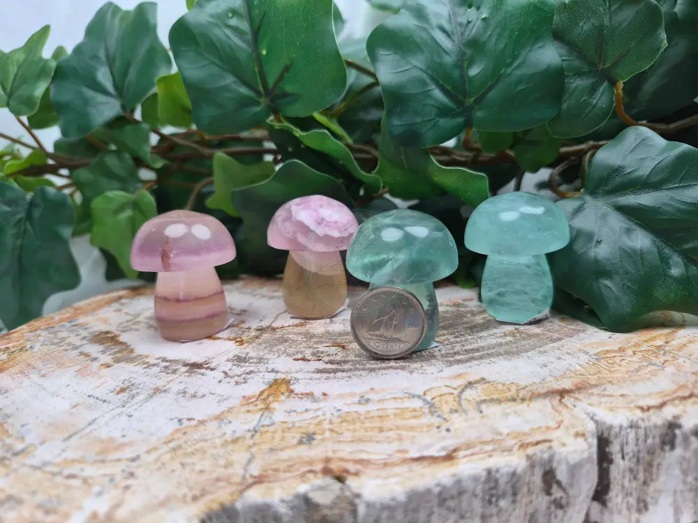 FLUORITE MUSHROOM