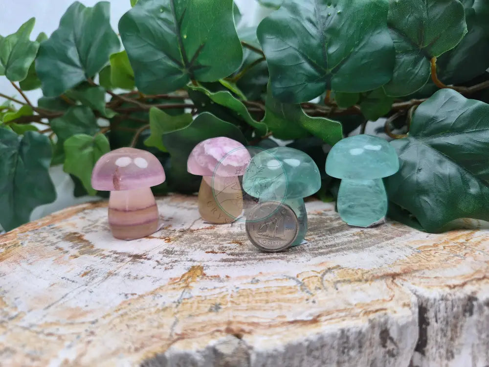 FLUORITE MUSHROOM
