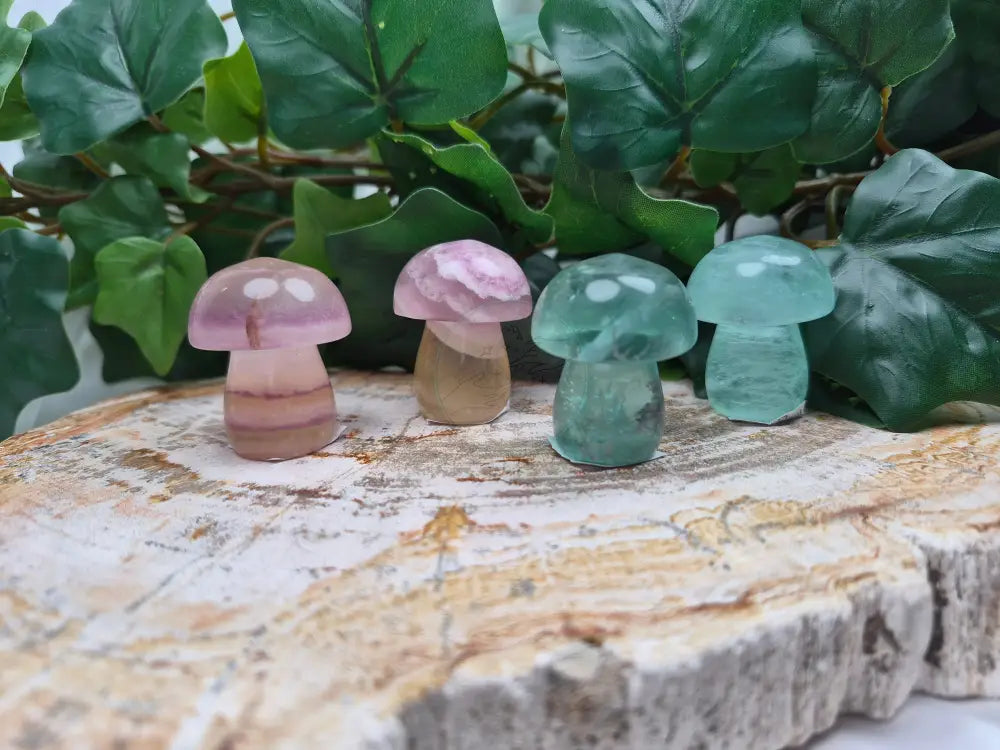 FLUORITE MUSHROOM