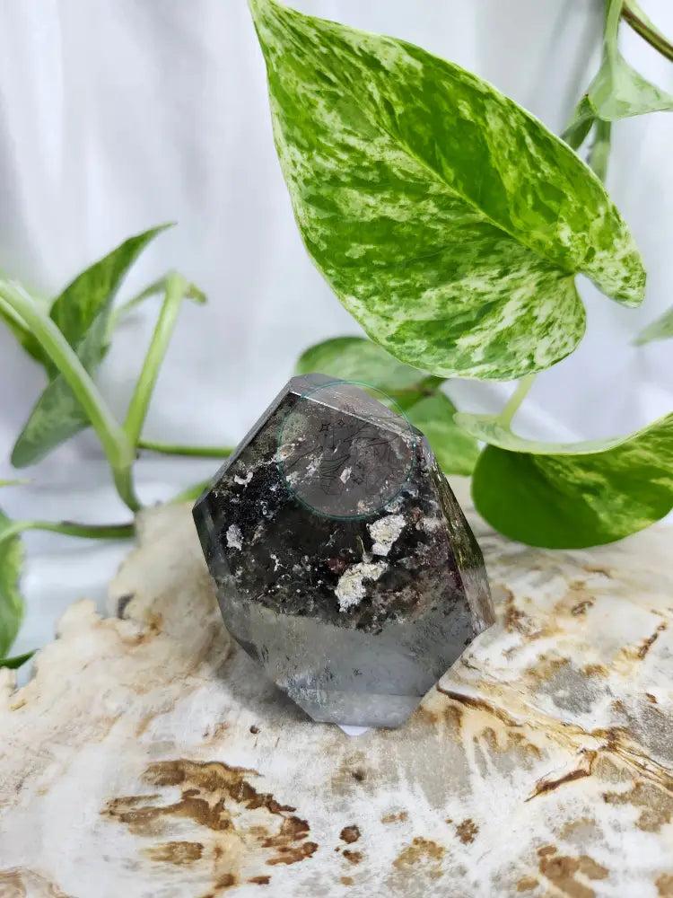 GARDEN QUARTZ FREEFORM