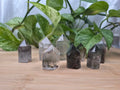 GARDEN QUARTZ TOWER 21g - 30g