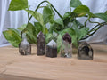 GARDEN QUARTZ TOWER 31g - 40g