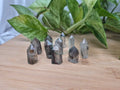 GARDEN QUARTZ TOWER 4g - 10g