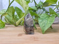 GARDEN QUARTZ TOWER 54g