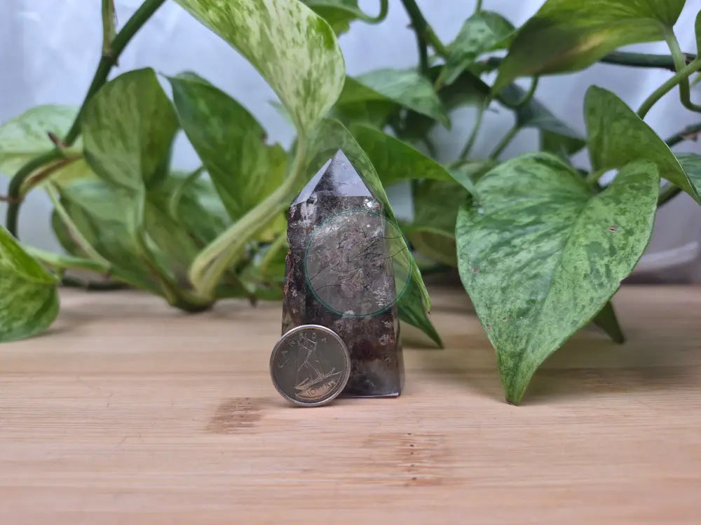 GARDEN QUARTZ TOWER 54g