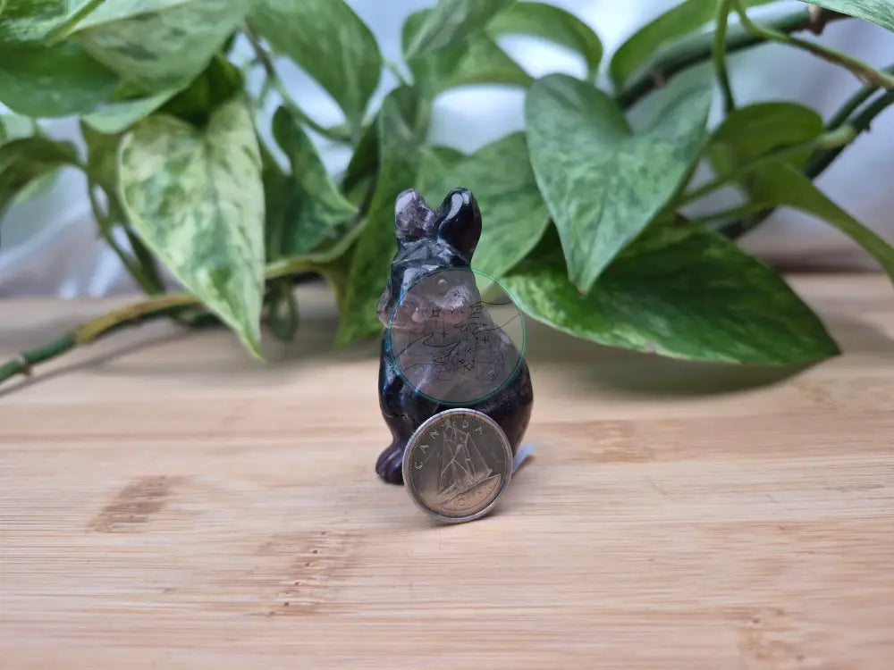 GARNET RABBIT