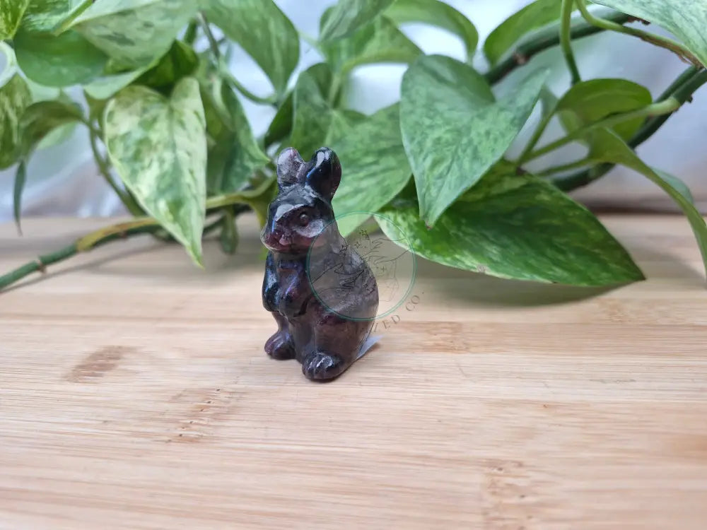 GARNET RABBIT