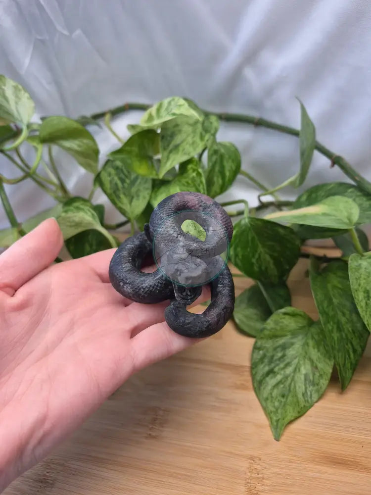 GARNET SNAKE