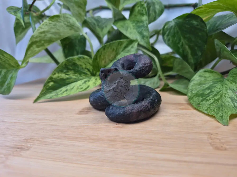 GARNET SNAKE