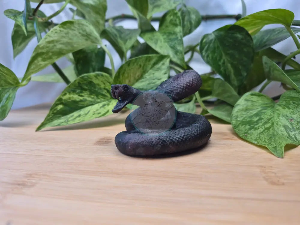 GARNET SNAKE