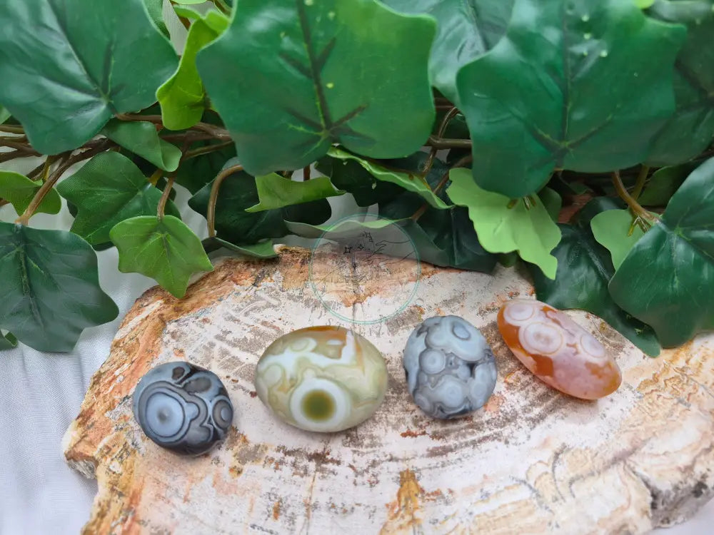 GOBI AGATE