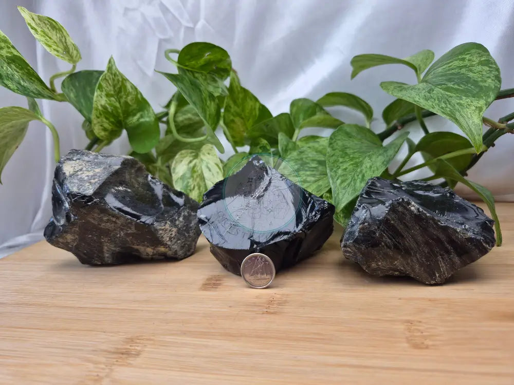 GOLD SHEEN OBSIDIAN ROUGH CHUNK