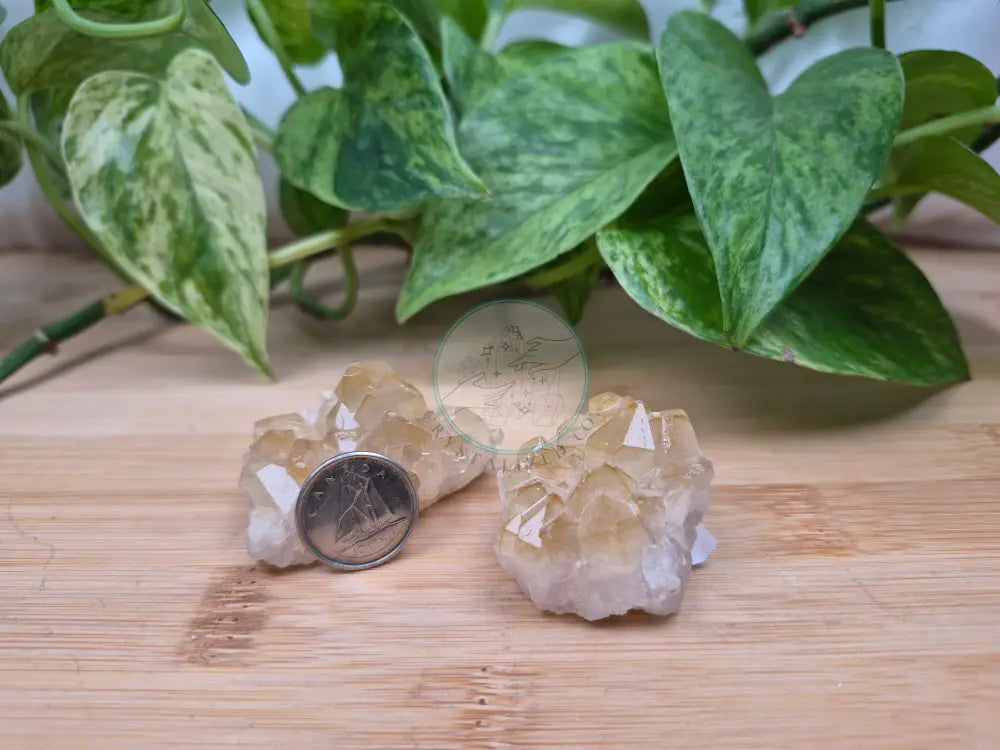 GOLDEN HEALER POINT ROUGH CHUNK