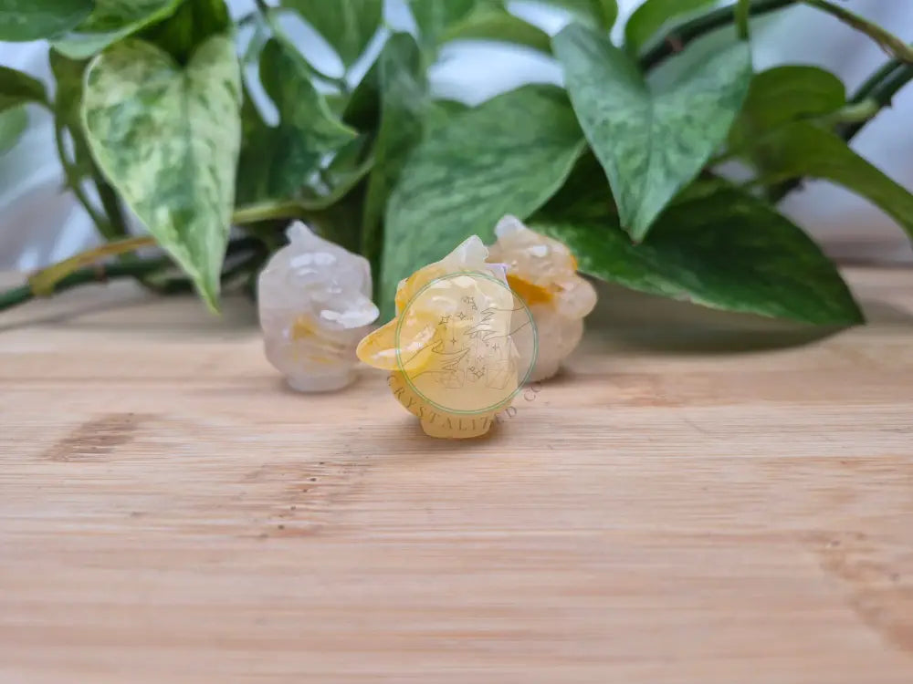 GOLDEN HEALER PSYDUCK