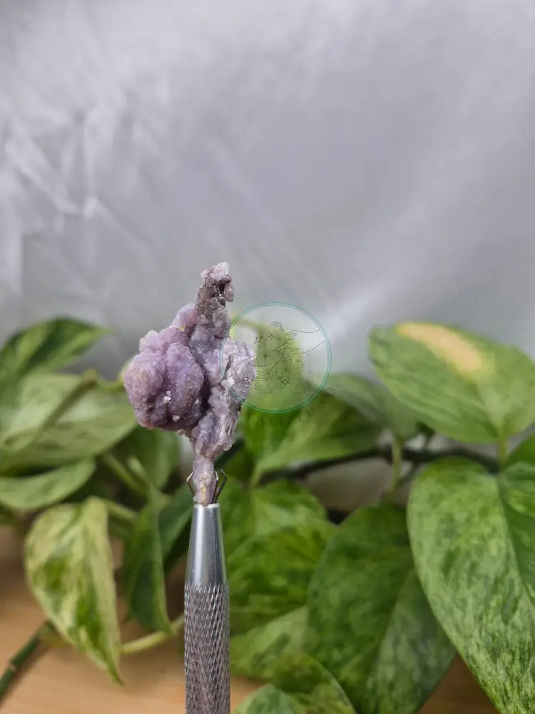 GRAPE AGATE ROUGH CHUNK 12g