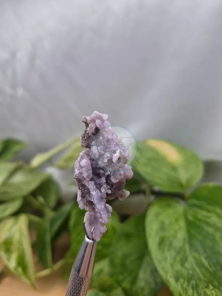 GRAPE AGATE ROUGH CHUNK 12g