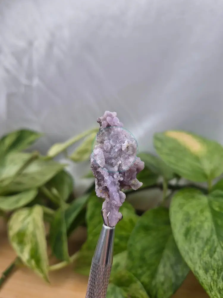 GRAPE AGATE ROUGH CHUNK 12g