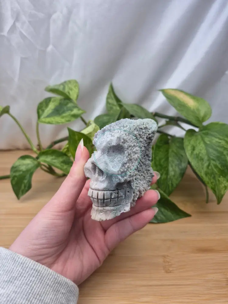 GRAPE AGATE SKULL