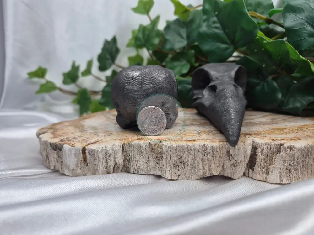 GRAPHITE BIRD SKULL
