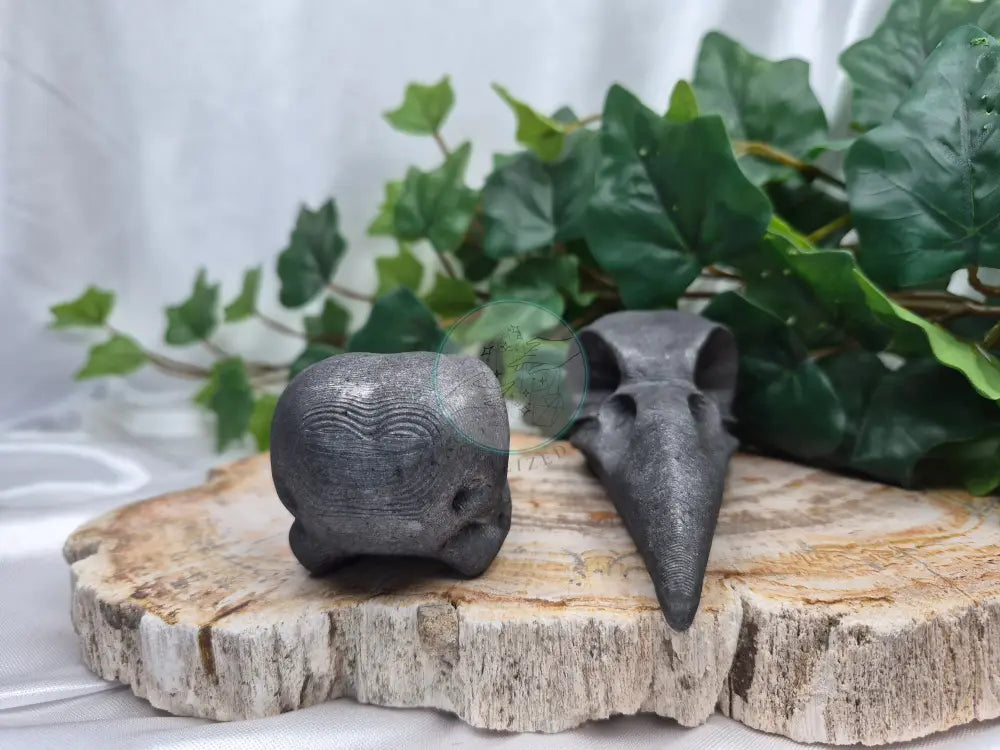 GRAPHITE BIRD SKULL