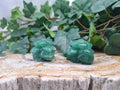 GREEN AVENTURINE IVYSAUR