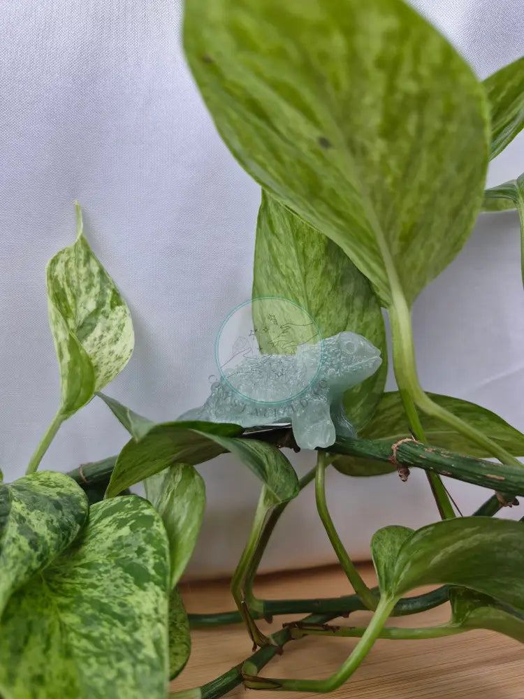 GREEN AVENTURINE LIZARD
