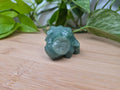 GREEN AVENTURINE VENUSAUR