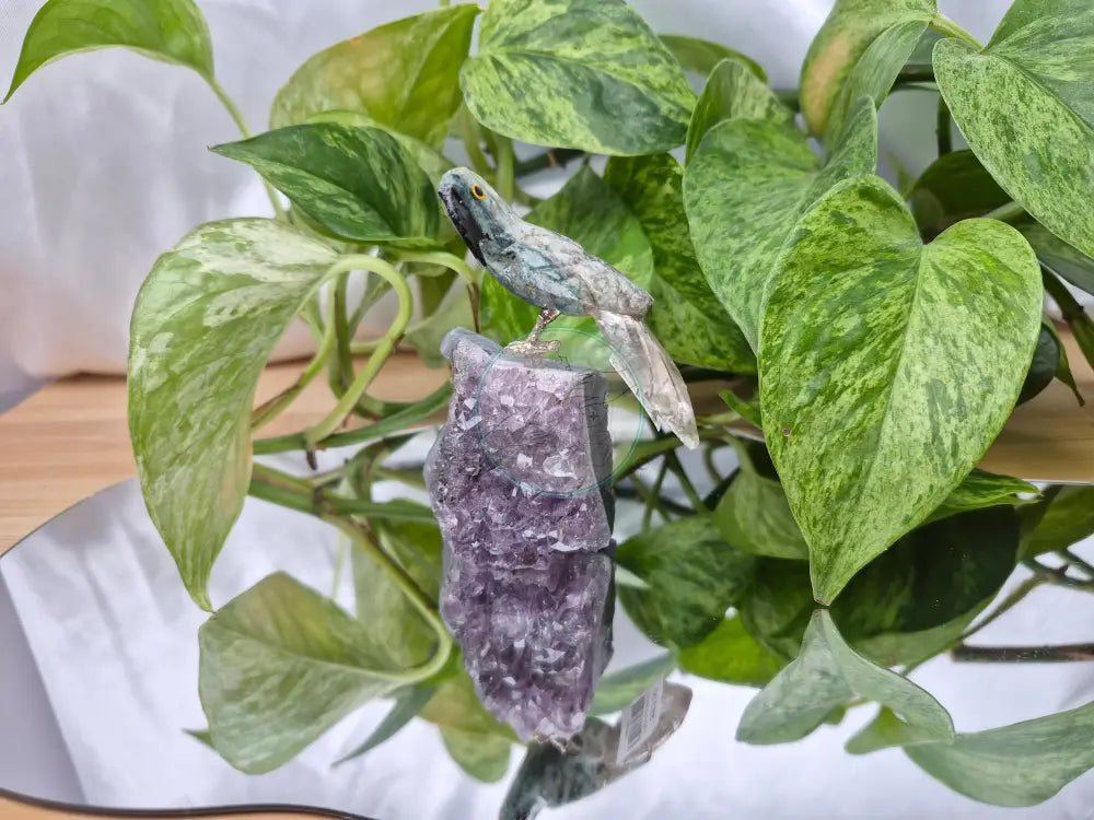 GREEN QUARTZITE PARROT ON AMETHYST BASE