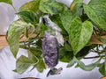 GREEN QUARTZITE PARROT ON AMETHYST BASE