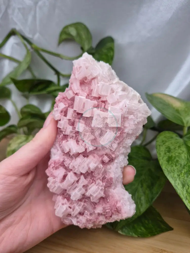 HALITE SPECIMEN