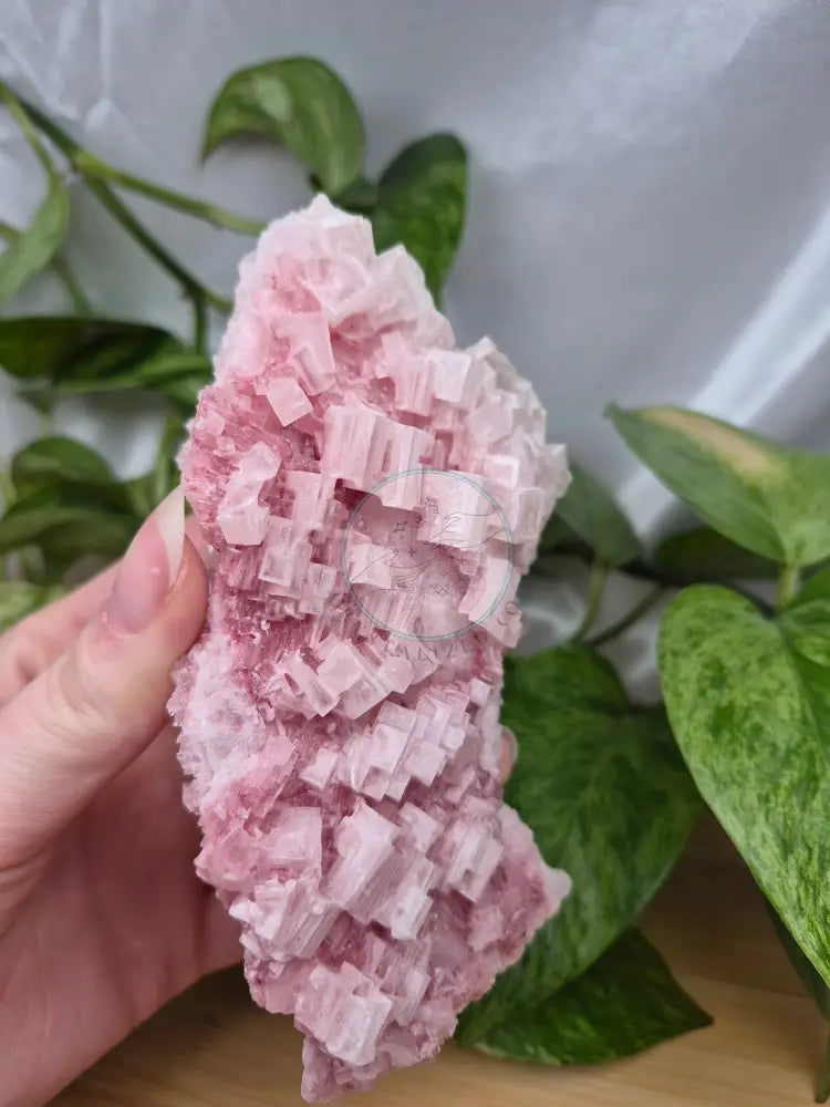 HALITE SPECIMEN